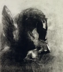 Pegasus